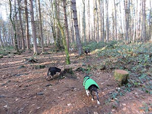 January 2017 Photo 21